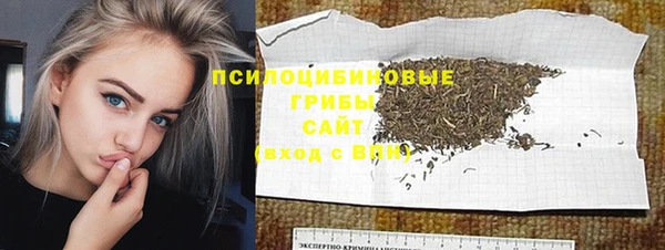 а пвп мука Чердынь